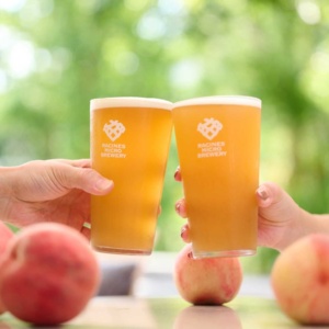 9月11日より販売開始。栃木県産の桃「まどか」で仕込む季節限定「桃ビール2026」